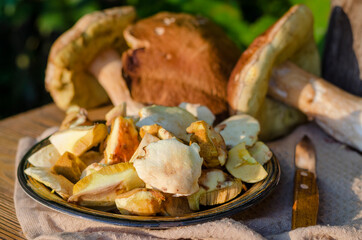 Fresh Forest Mushrooms in a Plate