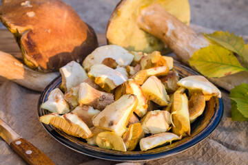 Fresh Forest Mushrooms in a Plate