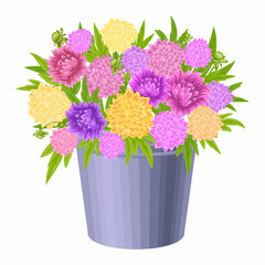 Spring colorful flowers in pots Vector plants for home and garden, potted plants