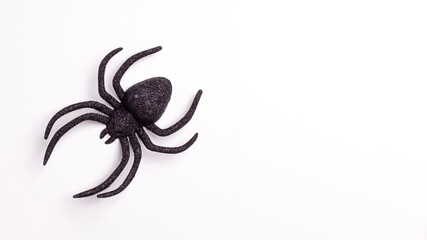 Flat lay banner of one black horror spiders on white backdrop with copy space. Halloween decoration spooky background concept for holidays