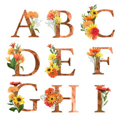 Set of floral letters A-I with autumn flowers (asters and gerber daisies), isolated illustration on white background, for wedding monogram, greeting cards, logo - obrazy, fototapety, plakaty