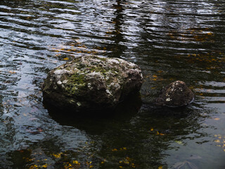 Rock in a pond