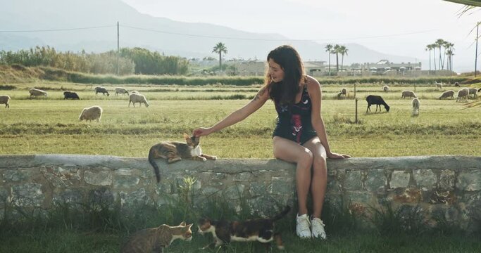 Woman in swimsuite in picturesque place etting cats, Young attractive woman walking towards the sea. Slender girl on the background of natural landscape. Brunette with long hair moving with beautiful