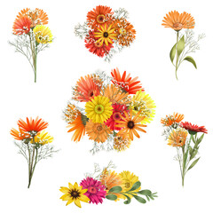 Autumn floral bouquets of asters, gerber flowers and gypsophila branches set, isolated flower arrangements on white background - obrazy, fototapety, plakaty