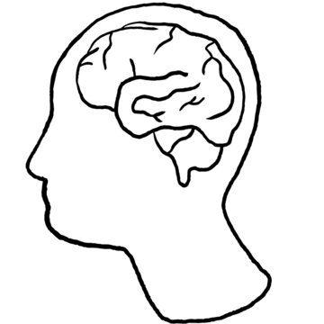vector illustration of a head in profile containing the diagram of a brain