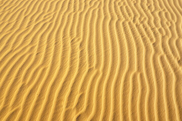 Fototapeta na wymiar Sand texture, closeup of sand on the dune, sandy background, Phan Thiet, Vietnam.