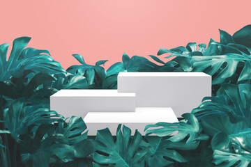 Fresh Green leaves of Monstera philodendron plant natural montage photo with white box Product Display stand © OHishi_Foto