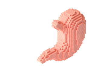 Human stomach made of many cubes. 3d illustration of stylized blocky anatomy of human stomach