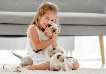 Girl with ragdoll kittens © tan4ikk