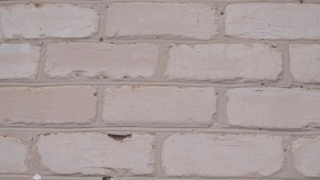 Abstract background. Building facade of old dirty white brick wall background. Empty wall from white brick. Camera moving. Dolly shot. Close up