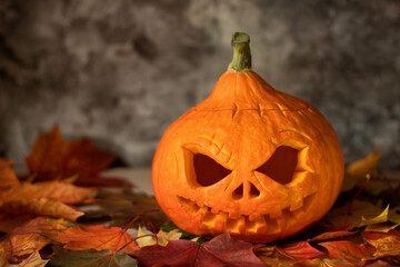 Festive scary halloween pumpkin on leaves on dark background