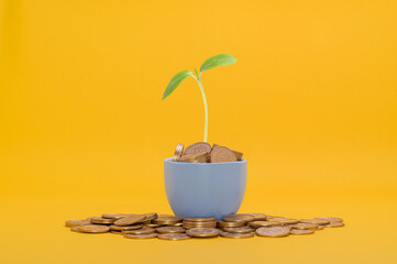 save money, invest in stocks, financial growth, income