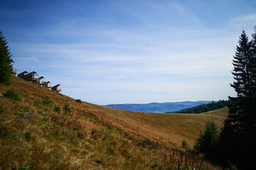 Beautiful views from the hiking trail in the Carpathian mountains. Leisure and recreation in the open air. Conquering the hills.