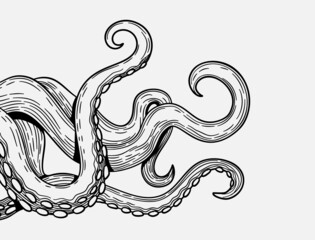 Tentacles banner. Octopus tentacle sketch element. Decorative engraving sea animal parts vector poster © ONYXprj