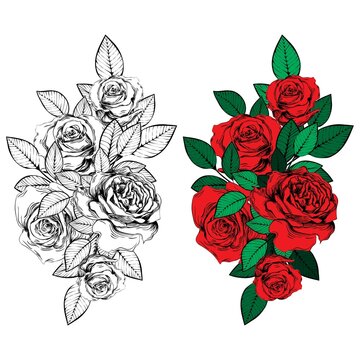 Vintage roses. Set of gothic tattoos. Collection of graphic and color isolated vector illustrations.