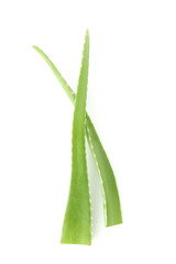 Aloe vera leaves isolated on white background