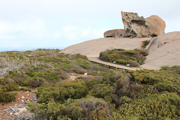 Fototapeta na wymiar remarkable rocks at kangaroo island (australia)