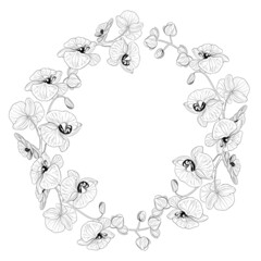 Round wreath of peonies in black and white. Frame made of flowers.