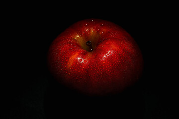 りんご (サンつがる)