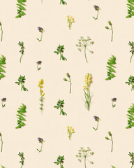 Top view fresh meadow flowers and grass Summer field plants as creative floral composition