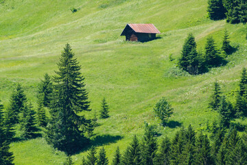 Einsame Hütte, Allgäuer Alpen, Kleinwalsertal, Vorarlberg, Österreich, Europa