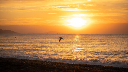 Fototapeta premium Amazing sunrise over the tropical beach. Yellow sun over sea. Orange colors waves. Nature background. Beautiful serene scene. Morning. Sunlight reflect on water surface