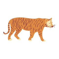 Obraz na płótnie Canvas Tiger is coming. Noble wild striped feline, fast and agile animal. Colorful vector isolated illustration hand drawn. Year of the tiger