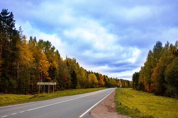 Fototapeta premium road in autumn forest