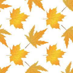 Fototapeta na wymiar vector graphic seamless pattern autumn leaves collection-03