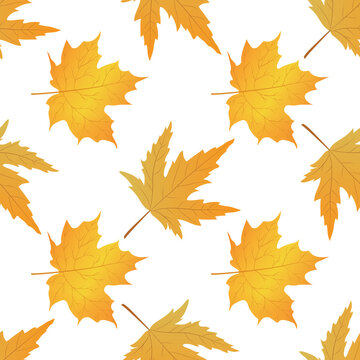 vector graphic seamless pattern autumn leaves collection-03