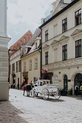 Obraz premium Beauty of the first Polish capital city 