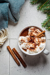 Fototapeta na wymiar Cup of cocoa with marshmallow and cinnamon, christmas background, top view, copy space.