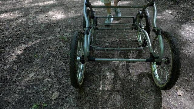 Wheels of the walking stroller on a forest pathway.