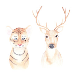 deer and tiger 