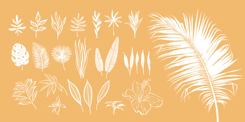 Fototapeta na wymiar Set of abstract tropical plants. Vector hand-drawn elements in boho style.