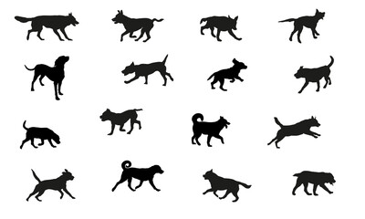 Group of dogs various breed. Black dog silhouette. Running, standing, walking, jumping dogs. Isolated on a white background. Pet animals.