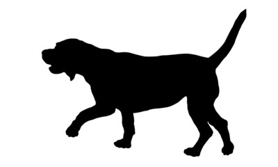 Black dog silhouette. Walking english beagle puppy. Pet animals. Isolated on a white background.