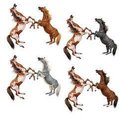 cheval, silhouette, combat, étalon,  animal, illustration cavalier, étalon, galop, conception, course, mammifère, sauvage, chat, sport ,course,  amoureux des chevaux, crin
