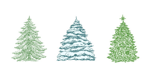 Fototapeta premium Hand Drawn Christmas Tree Color Vector Illustrations Set. Abstract Pines Sketches Collection. Winter Holiday Engraving Style Drawings. Isolated