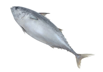 Fresh raw tuna fish isolated on white background