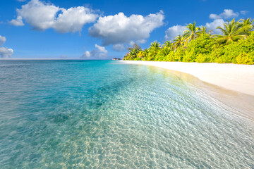 Amazing island beach. Tropical landscape of summer scenery white sand with palm trees. Luxury traveling vacation destination. Exotic resort hotel beach landscape. Beauty relax freedom nature template