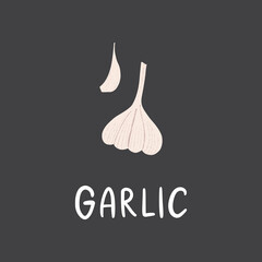 Garlic and clove with lettering. Flat hand drawn scent condiment for food isolated on dark background.