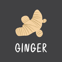 Ginger root with lettering. Flat hand drawn fresh spice for healthy fodd and desserts isolated on dark background.