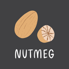 Nutmeg with lettering. Flat hand drawn spice for desserts and food isolated on dark background.