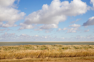 Obraz premium Tengis salt lake in Korgalzhyn State Nature Reserve, Kazakhstan.
