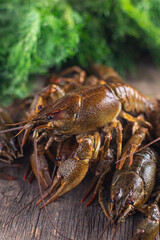 crayfish fresh ready to cook seafood raw product meal snack on the table copy space food background rustic  top view