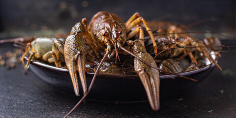 crayfish fresh ready to cook seafood raw product meal snack on the table copy space food background rustic  top view