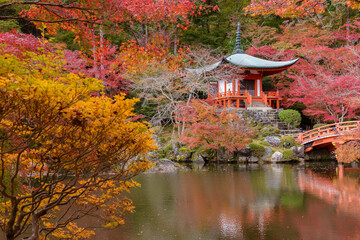 Naklejka premium Beautiful japanese garden with colorful maple trees in Daigoji temple in autumn season, Kyoto, Japan