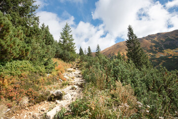 Fototapeta na wymiar hiking trail in autumn. Žiar valley in the Western Tatras in Slovakia. 