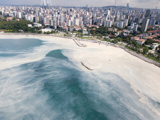 aeiral view of mucilage that effect of marine pollution 
